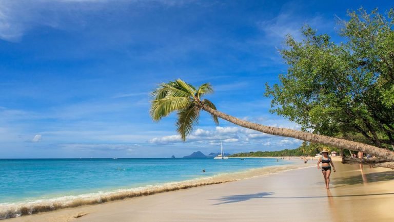 Quelle est la meilleure saison pour visiter la Martinique ?