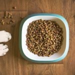 Croquettes pour chien