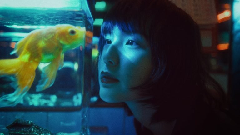 Astuces pour garder votre aquarium en bonne santé : conseils pratiques
