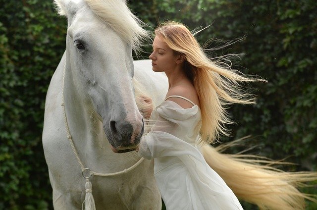 Les races de chevaux