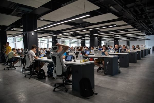 Pratiques durables : l’engagement croissant des entreprises en 2025 engagement croissant