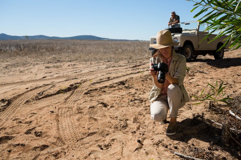 Découverte des routes : aventures en terre inconnue