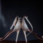 chaussures féminines