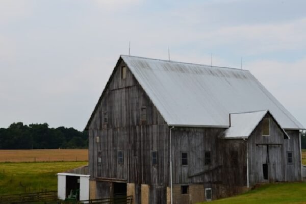 ferme en gîtes