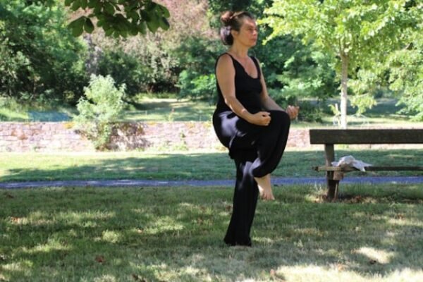 le Tai-chi