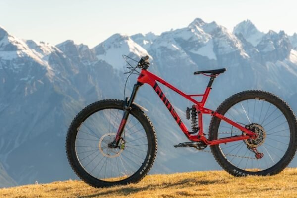 achat VTT